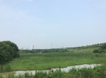 555000jcjc��·�������(����)�ٷ���վ