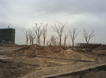 555000jcjc��·�������(����)�ٷ���վ