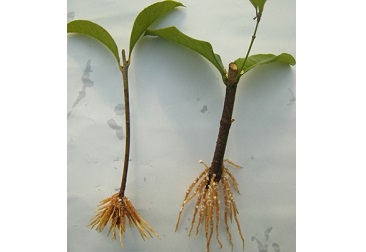 555000jcjc��·�������(����)�ٷ���վ