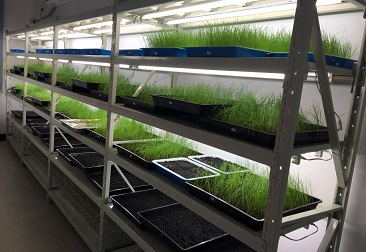 555000jcjc��·�������(����)�ٷ���վ