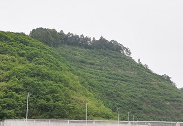 555000jcjc��·�������(����)�ٷ���վ