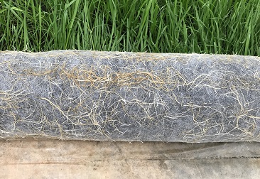 555000jcjc��·�������(����)�ٷ���վ